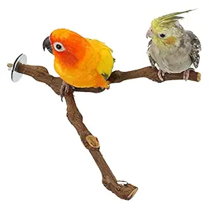 kathson Parrot Perches,Birds Stand Pole Natural Wild Grape Stick Grinding Paw Climbing Standing Cage Accessories Toy Branches for Cockatiels,Cockatoo,Lorikeet,Conure,Parakeet