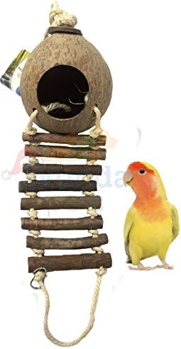 LAZY BONES BIRD BUDGIE COCKATIEL NATURAL COCO HIDEAWAY WITH LADDERS TOY LB640