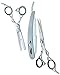 Hairdressing Barber Salon Scissors 6", Thinning Scissors 6", with Barber Shavette