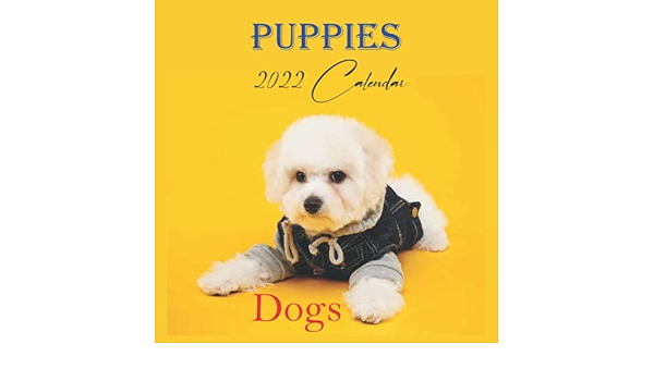 Sfa Calendar 2022 Dogs Puppies Calendar 2022: Monthly Square Calendar 2022, Size 8.5 X 8.5  Inch 12 Month Calendar, Cute Animal Calendars, Calendar Dogs 2022:  Amazon.co.uk: Pub Print, Calendar 2022: 9798465296458: Books