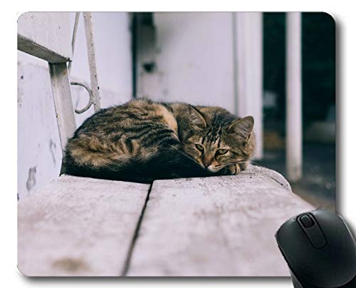 Preisvergleich Produktbild Mauspad, Mauspad für Haustierkatze, Mauspad für Computer cat196