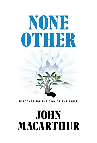None Other: Discovering the God of the Bible (English Edition)