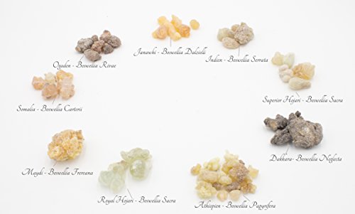 Weihrauch Probierset - 9 Sorten a 7 Gramm (Royal Hojari, Superior Hojari, Somalia-Weihrauch, Äthiopien-Weihrauch, Kenia-Weihrauch, Maydi, Janawhi-Weihrauch, Ogaden-Weihrauch, Weihrauch aus Indien)