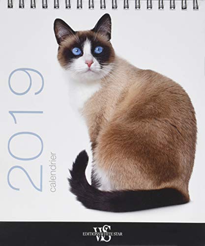 Ebooks gratuits en ligne télécharger MOBI Calendrier de table 2019 Chats DJVU DJVU FB2 by author