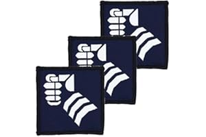 Official Issue 20th Armoured Brigade Combat Team BLUE WHITE TRF: x3 TRF Pack