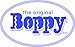 Chicco Boppy Cotton Slipcover - Pond Pebbles