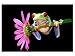 Produktbild kunst-discounter Bild Leinwandbilder Canvas Frosch Laubfrosch Orchidee A05278 30 x 20 cm