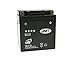 Price comparison product image battery JMT Gel Line JMB10L-B2 for Piaggio X9 250 (2000-2002)