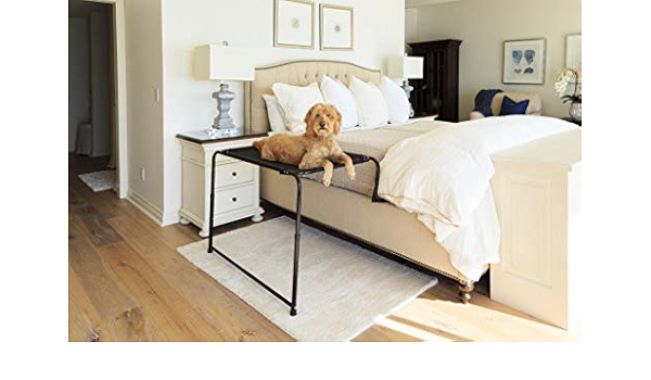 dog bed same height as human bed