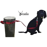 [Gesponsert]Hundeleine mit Festbindefunktion, Schnell und einfach den Hund festbinden, ohne die Leine vom Halsband zu lösen, Weicher Griff, von Profis entworfen, für alle Hunderassen geeignet