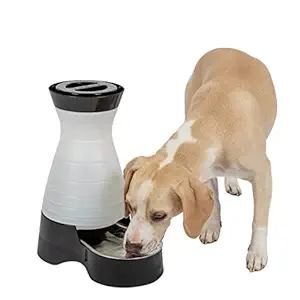 PetSafe Healthy Pet Water Station, Dog and Cat Water System with Stainless Steel Bowl, Medium, 128 oz.