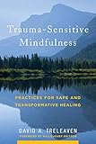 Trauma-Sensitive Mindfulness: Practices for Safe and Transformative Healing by 