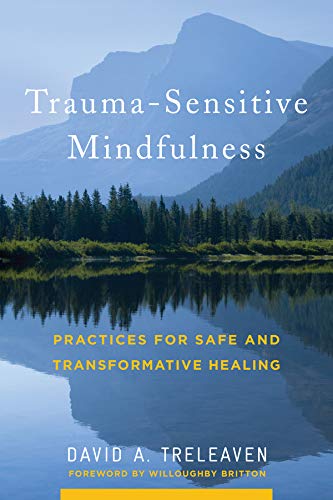 Télécharger Trauma-Sensitive Mindfulness: Practices for Safe and Transformative Healing Francais PDF