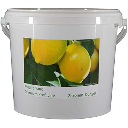 Suchergebnis auf Amazon.de für: Mediterran - Garten- & Balkonpflanzen