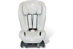 FUN*DAS BCN Fundas BCN® - F118/0393 - Funda para Axkid Minikid, Kidzone, Duofix y Rekid ® - Estampado Kodak Stripes