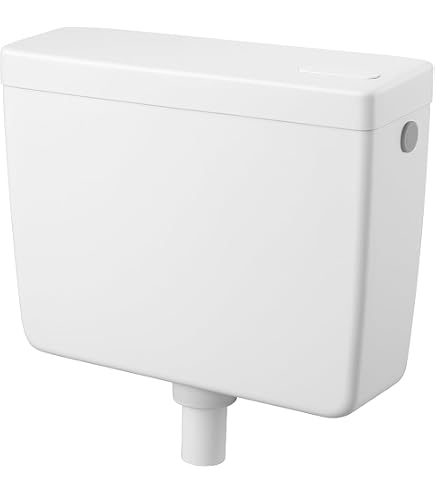 Wc A Pavimento Senza Bordo Con Cassetta E Coperchio Ammortizzato In Ceramica Bianca Lucida New Ola Jacob Delafon