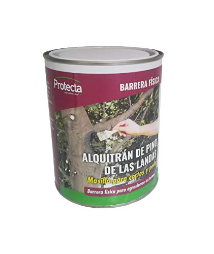 BIOSIX Masilla Natural Reparadora para Árboles Tras Poda o Injerto ALQUITRÁN Pino Las Landas - Bote 800 gr