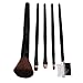 Malloom® Fashion Multifunctional 5 Pieces Pro Foundation Makeup Tools Cosmetic Brush Blending Face Eye Brush Kit Sets (Black)