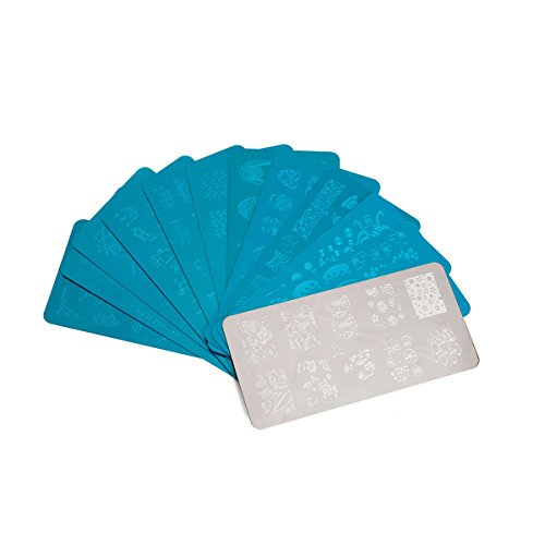 Tinksky Nail Art Stamping Printing Plate Manicure Stamping Image Plate Templates with Stamp Pack of 10 (Silver)