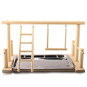 Shumo Juego de Madera y Bandeja de Acero Inoxidable Pet Bird Station Station Loros Parque Infantil Perca Gimnasio Soporte de Entrenamiento Bird Juguetes Cómodos
