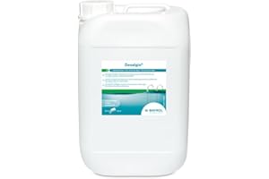 BAYROL Desalgin Classic 6 L - Anti algues pisicne - Protection Continue Contre la prolifération des algues - Efficace sur Une Grande variété d'algues - avec Effet clarifiant - algicide Piscine