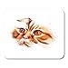 Produktbild AOCCK Gaming Mauspads, Gaming Mouse Pad Green Animal Portrait of Scottish Fold Cat on White with Sketch Orange Beautiful 11.8"x 9.8" Decor Office Nonslip Rubber Backing Mousepad Mouse Mat