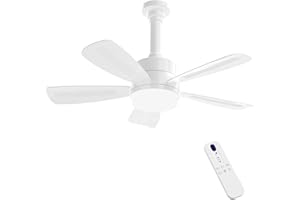 REYLAX Ventilador de Techo con Luz, 50cm E27 LED Lampara Ventilador 2000LM Regulable, 3 Temperaturas de Color, 6 Velocidades, Temporizador, Apto para Dormitorio, Cocina, 5 Aspas, Blanco