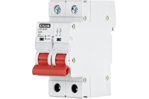 CILIA Interruttore Sezionatore Modulare 2P 400VAC 25A/32A/40A, 2 Moduli DIN, IP20, IEC60947-3 - Interruttore di Isolamento per Quadri Elettrici In=40A (JVD16-63-2P-40A)