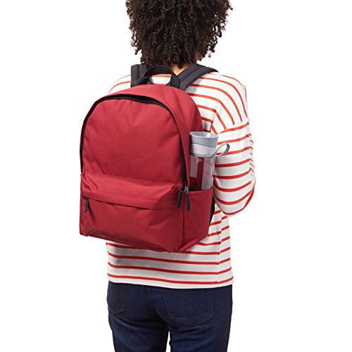AmazonBasics Klassischer Rucksack - 6