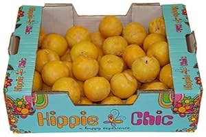 LIEFERFRUCHT Pflaumen gelb frisch saftig und süß 5 kg karton