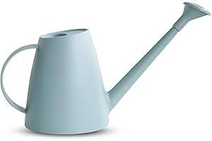 Bncxdc arrosoir Vaporisateur, arrosoir à Long Bec, Arrosoir à Bec Long 1800ML avec pommeau de Douche Amovible Petit Pot darrosage pour Plantes extérieures dintérieur Jardin Fleur bonsaï