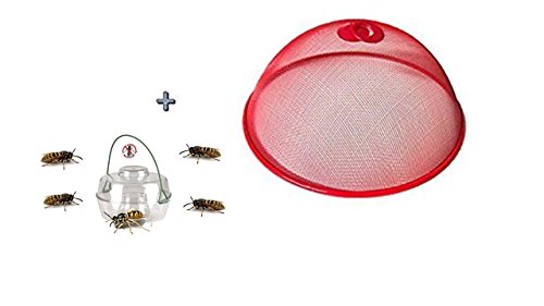Fliegenhaube / rot Abdeckhaube / Lebensmittel - rote Haube aus Metall Ø 30 x 12 cm + Aktion Wespenfalle 13 cm von Conny Clever