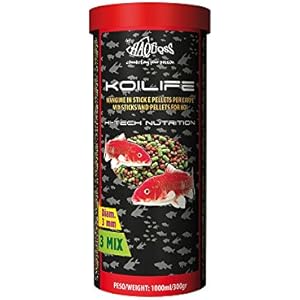 Haquoss koilife, 1000ml/300gr