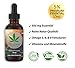 Produktbild Nature Hemp 10ml 5% ESSENZ