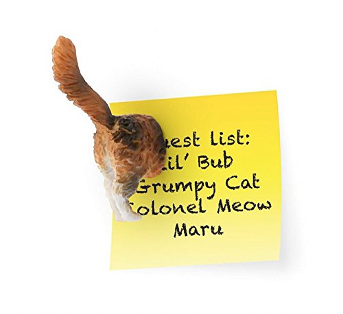 Kikkerland Cat Butt Magnete - 2