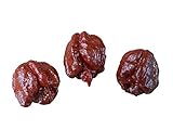 10 x Trinidad Scorpion Moruga -Chocolate- Semillas