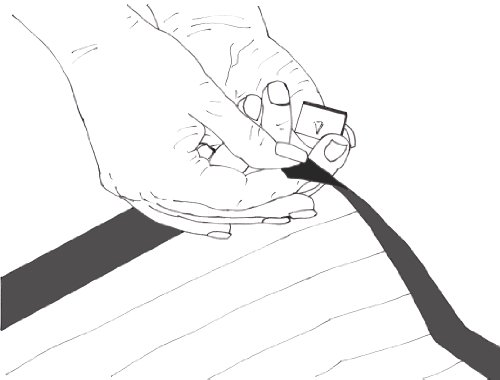 confronta il prezzo Zanzariera Magnetica Magicmag mod.800 (dim. 850x2300 mm) miglior prezzo