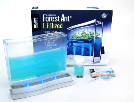 Preisvergleich Produktbild BioGlobe Ökosystem Super Forest LED