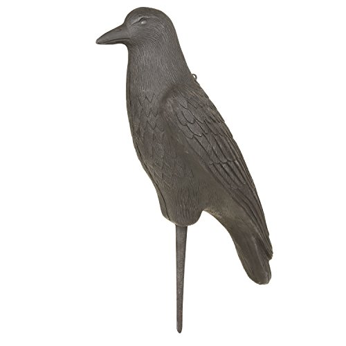 Preisvergleich Produktbild Flambeau Predator Harte Crow Decoy