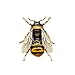 Produktbild Tuipong Honey Bee Fly Insekt Brosche, Mode Elegant Emaille Brosche Schals Schal Clip für Frauen Damen Schmuck, Weihnachtsschmuck Geschenk - Weiß
