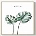 Produktbild jzxjzx Kleine frische pflanzenblätter modernen minimalistischen Wohnzimmer Schlafzimmer Dekoration malerei HD malerei Kern malerei wandbild 2 40 * 50 cm