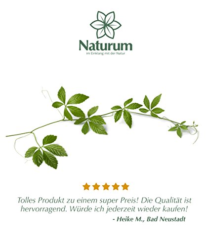 Jiaogulan, 100g (Geprüfte Premium Qualität) – JETZT NEU – Unsterblichkeits-Kraut, Wildwuchs – Wildsammlung aus dem Hochland der Provinz Fujian, Botanisch – Gynostemma Pentaphyllum - 6