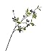 Produktbild Meen Künstliche Blume, Simulation Olivenzweig Frucht Gefälschte Blume Ornament Dekoration Indoor Blumenarrangement Bouquet (kann Wählen Vase Typ) (Farbe : Brown, größe : No vase)