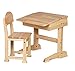 2 Piece Desk and Chair Set