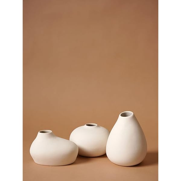 Buy Amphora White Ceramic vase Online at Low Prices in India