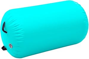vidaXL Rouleau Gonflable Gymnastique avec Pompe Multi Couleur Multi Dimension