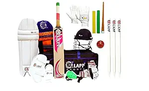 Klapp 12 Pieces Cricket kit with Klapp Brand Stumps Set.