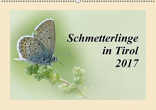 Schmetterlinge in Tirol 2017 (Wandkalender 2017 DIN A2 quer): Schmetterlinge, fotografiert im Karwendelgebirge, Tirol (Monatskalender, 14 Seiten ) (CALVENDO Tiere)