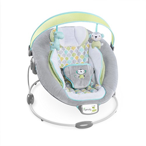 Ingenuity 60389 Soothe and Delight Bouncer – Savvy Safari - 9