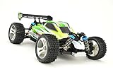 brushless automotive motor RC Buggy 